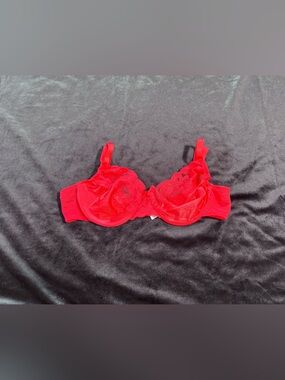 Vanity Fair Red Lace Underwire Bra